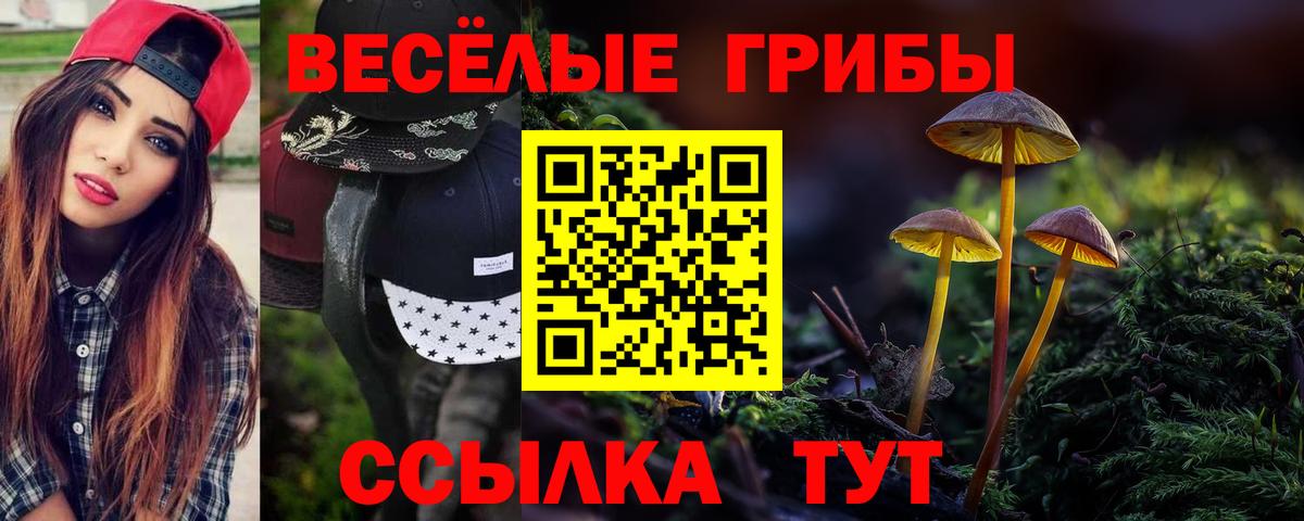 Галлюциногенные грибы MAGIC MUSHROOMS  Псилоцибиновые грибы мухоморы  Вход с VPN  Вышний Волочёк 