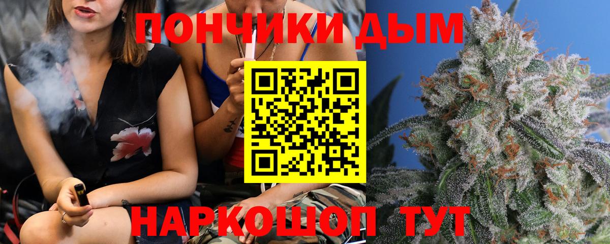 Шишки марихуана конопля Вышний Волочёк